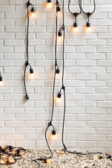 Portfolio 24-ft 12-Light Plug-in Incandescent Edison String Lights, Black