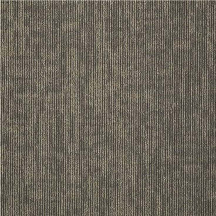 Shaw Graphix Canyon Shadow Loop Commercial 24 in. x 24 in. Glue Down Carpet Tile (12-tile / case)
