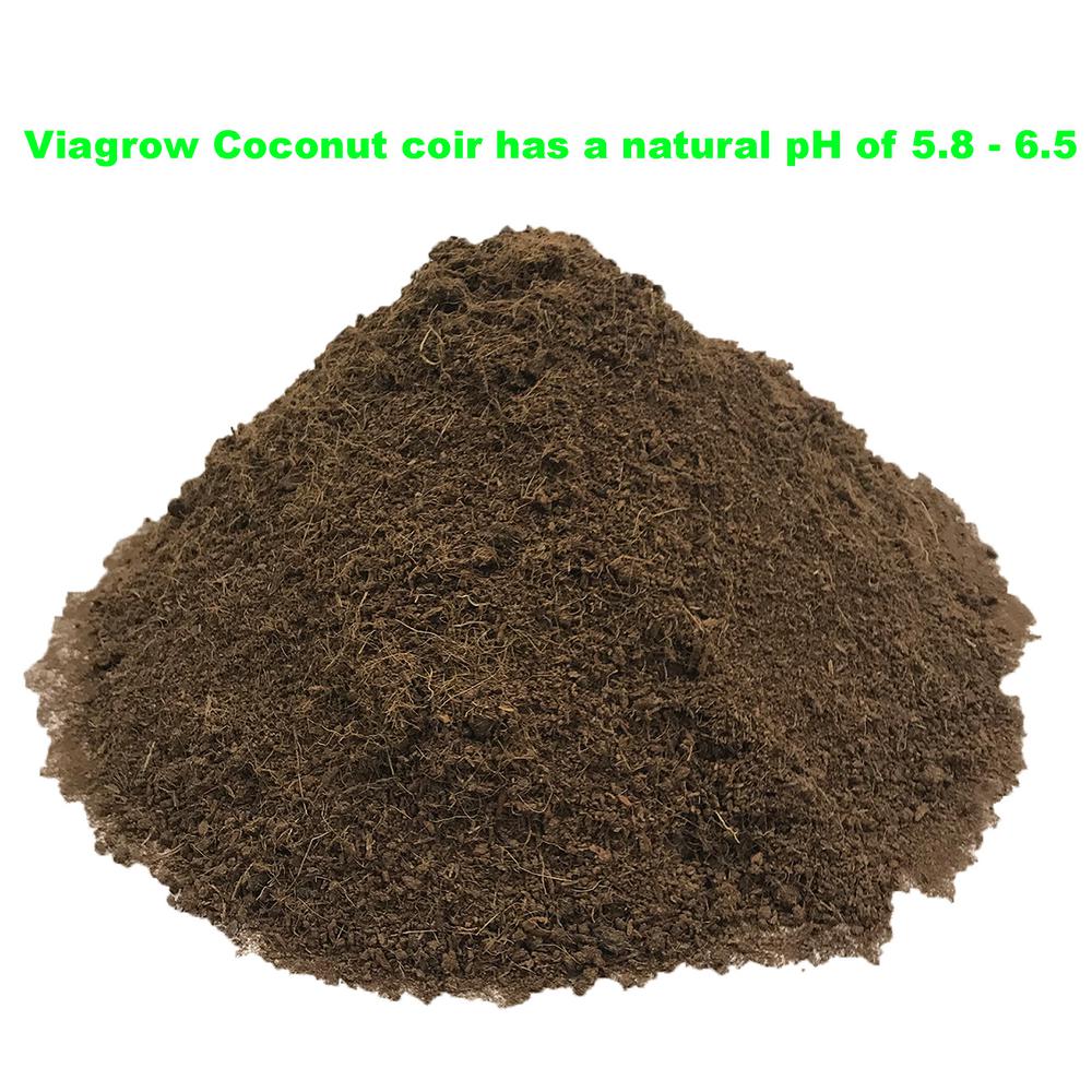 Viagrow 1.4 lbs. Premium Soilless Coconut Coir Brick Grow Media (12-Pack)