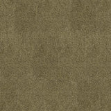 Home & Office Grassland Taupe Needlebond Carpet (Indoor/Outdoor) - Super Arbor