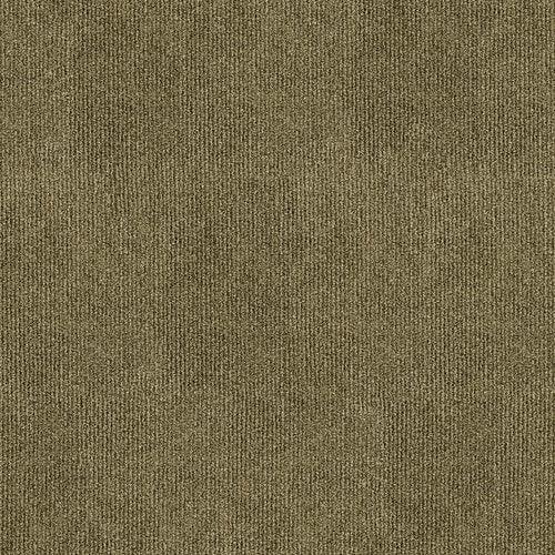 080321113559xl_1471696356.jpg