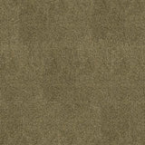 080321113559xl_1471696356.jpg