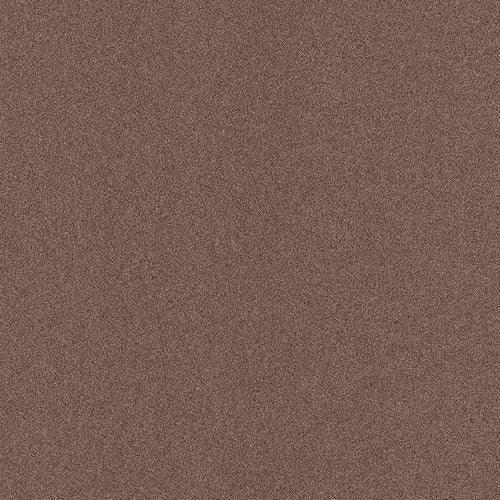 Home & Office Amargosa Chestnut Needlebond Carpet (Indoor/Outdoor) - Super Arbor