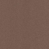 Home & Office Amargosa Chestnut Needlebond Carpet (Indoor/Outdoor) - Super Arbor