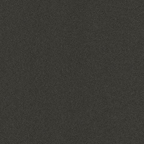 Home & Office Amargosa Mocha Needlebond Carpet (Indoor/Outdoor) - Super Arbor
