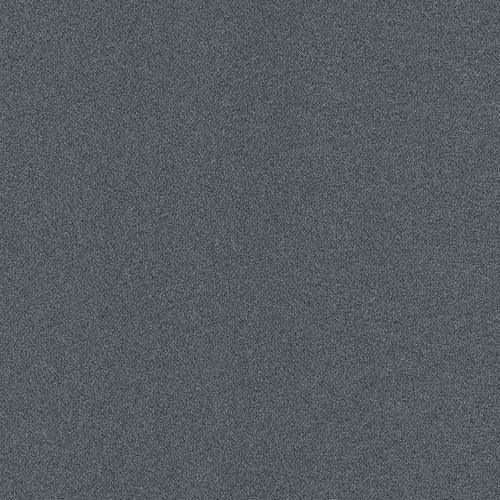 Home & Office Amargosa Smoke Needlebond Carpet (Indoor/Outdoor) - Super Arbor