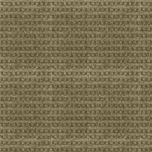 Home & Office Regency Taupe Needlebond Carpet (Indoor) - Super Arbor