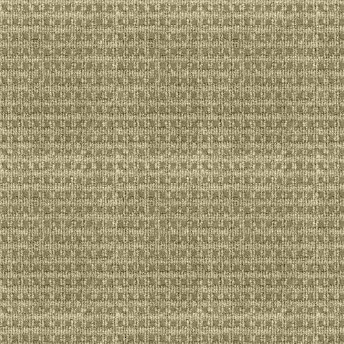 Home & Office Regency Putty Needlebond Carpet (Indoor) - Super Arbor