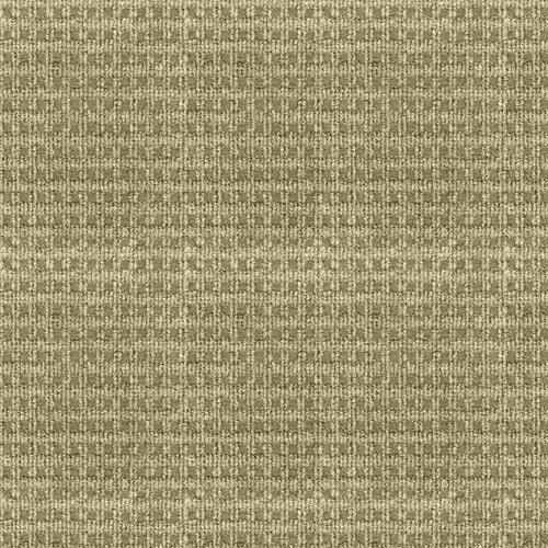 080321114037xl_1833112666.jpg