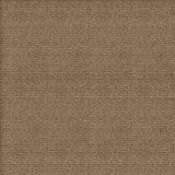 Home & Office Contemporary Taupe Needlebond Carpet (Indoor) - Super Arbor