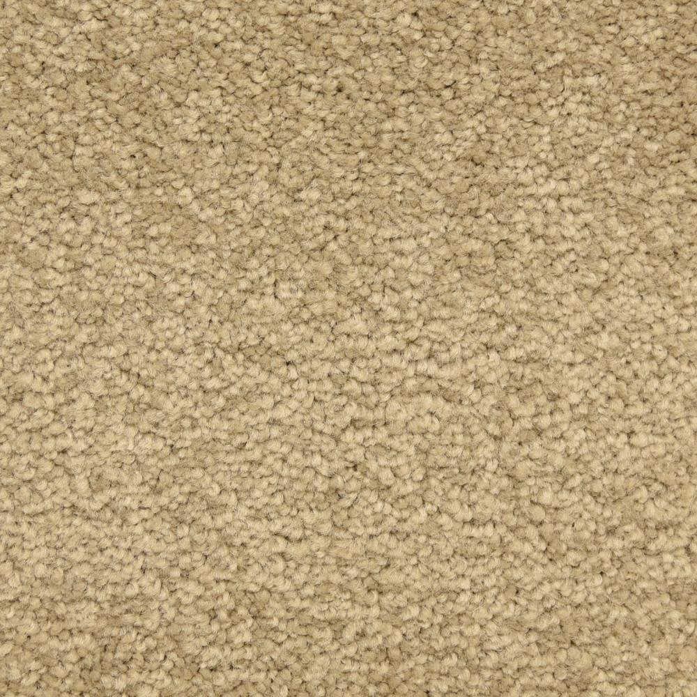 STAINMASTER LiveWell Hush-Hush Hansel Textured Carpet Sample, 8-in x 8-in (Indoor)