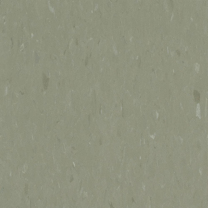 Congoleum Alternatives 45-Piece 12-in x 12-in Sage Glue (Adhesive) VCT Tile