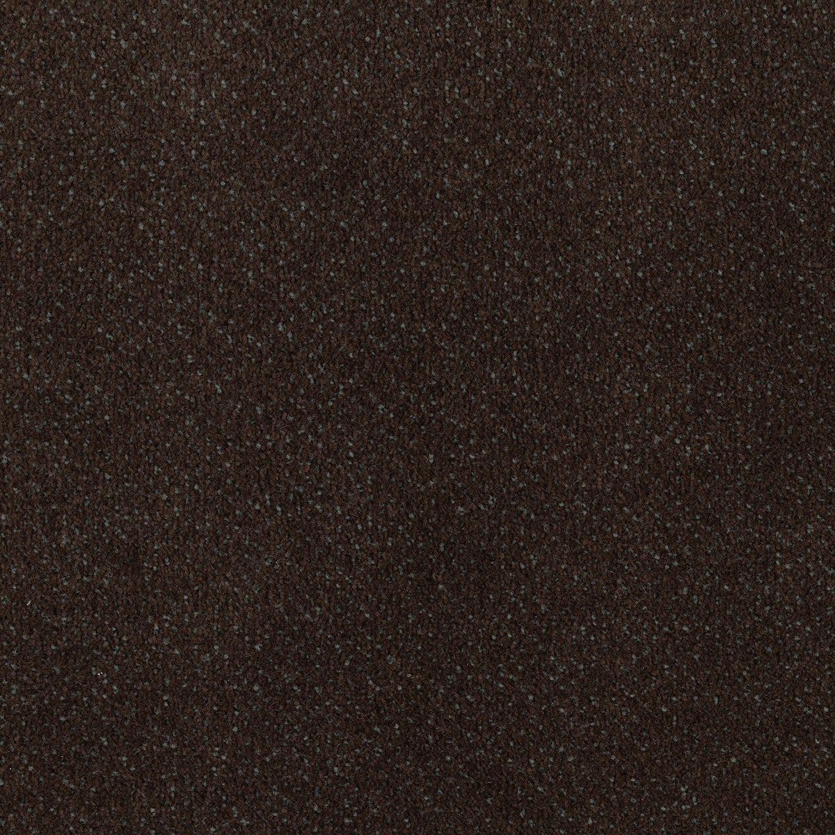 STAINMASTER Home & Office Music Store Dark Roast Pattern Carpet (Interior)