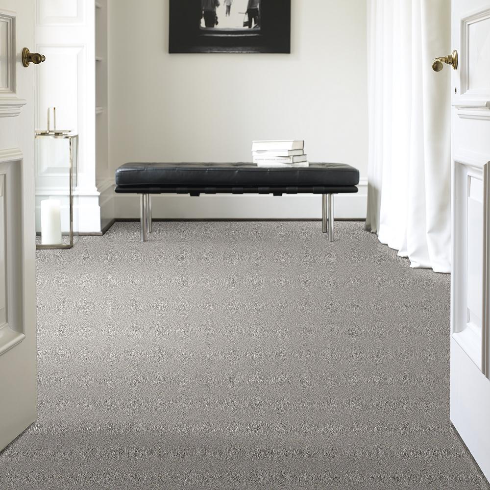 STAINMASTER PetProtect Baxter II Gizmo Textured Indoor Carpet, 12-ft Roll Width
