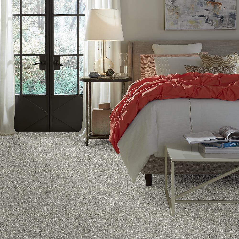 STAINMASTER PetProtect Baxter II Trixie Textured Indoor Carpet, 12-ft Roll Width