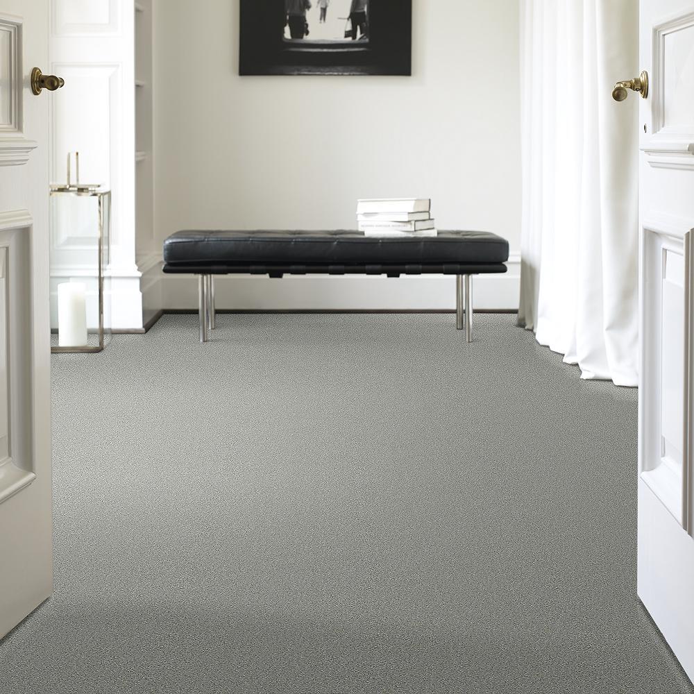 STAINMASTER PetProtect Baxter II Roscoe Textured Carpet (Indoor)