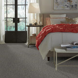 STAINMASTER PetProtect Baxter II Schnauzer Textured Carpet (Indoor) - 12-ft Width