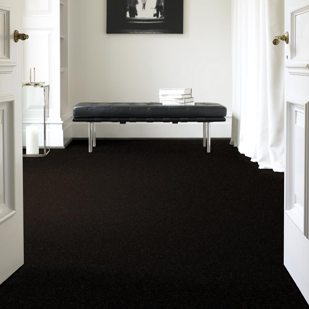STAINMASTER PetProtect Baxter II Bear Textured Carpet (Indoor), 12-ft Roll Width