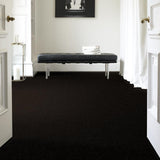 STAINMASTER PetProtect Baxter II Bear Textured Carpet (Indoor), 12-ft Roll Width