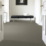 STAINMASTER PetProtect Baxter II Bentley Textured Indoor Carpet, 12-ft Roll Width