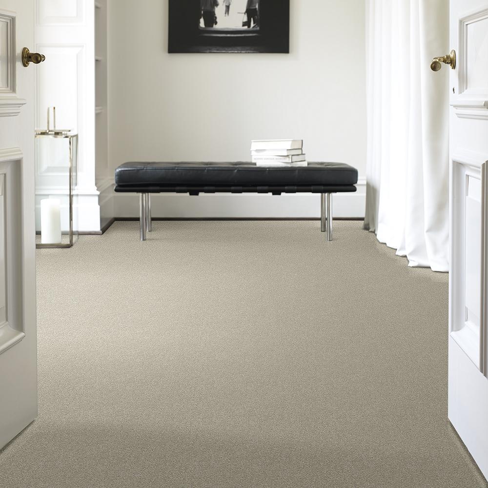 STAINMASTER PetProtect Baxter III Harley Textured Indoor Carpet, 12-ft Roll Width