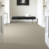 STAINMASTER PetProtect Baxter III Harley Textured Indoor Carpet, 12-ft Roll Width