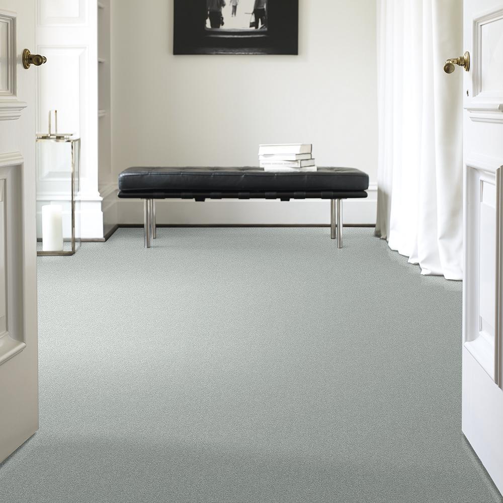 STAINMASTER PetProtect Baxter III Rex Textured Indoor Carpet, 12-ft Roll Width