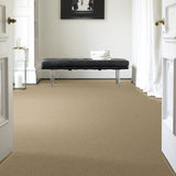 STAINMASTER PetProtect Baxter IV Boxer Textured Carpet (Indoor, 12-ft Roll Width)