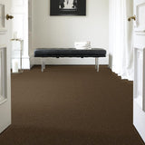 STAINMASTER PetProtect Baxter II Labrador Textured Carpet (Indoor) - 12-ft Roll Width