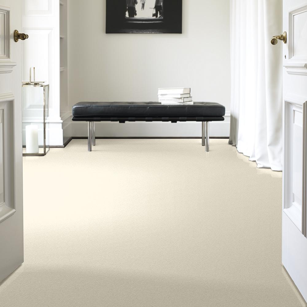 STAINMASTER PetProtect Baxter I Lucy Textured Indoor Carpet, 12-ft Roll Width