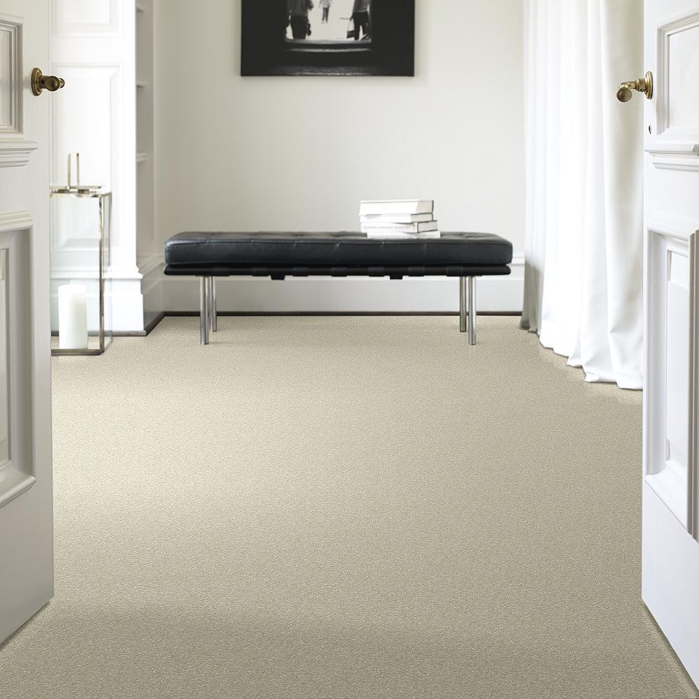 STAINMASTER PetProtect Baxter I Sadie Textured Indoor Carpet, 12-ft Roll Width