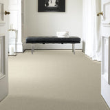STAINMASTER PetProtect Baxter I Sadie Textured Indoor Carpet, 12-ft Roll Width