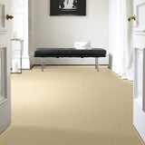 STAINMASTER PetProtect Baxter I Spaniel Textured Indoor Carpet, 12-ft Width