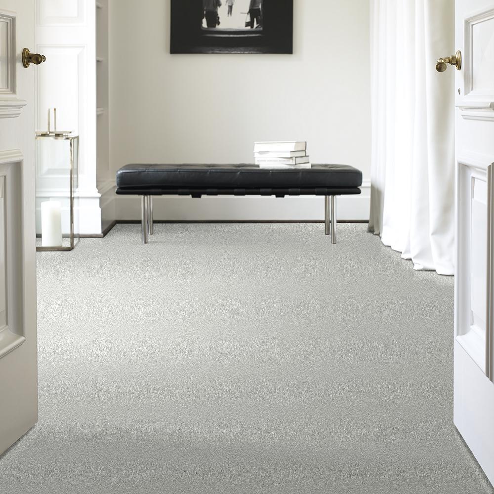 STAINMASTER PetProtect Baxter I Mac Textured Carpet (Indoor) — 12-ft Roll Width