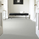 STAINMASTER PetProtect Baxter I Mac Textured Carpet (Indoor) — 12-ft Roll Width