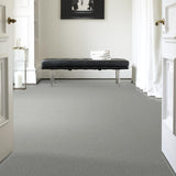 STAINMASTER PetProtect Baxter II Bobo Textured Carpet (Indoor)