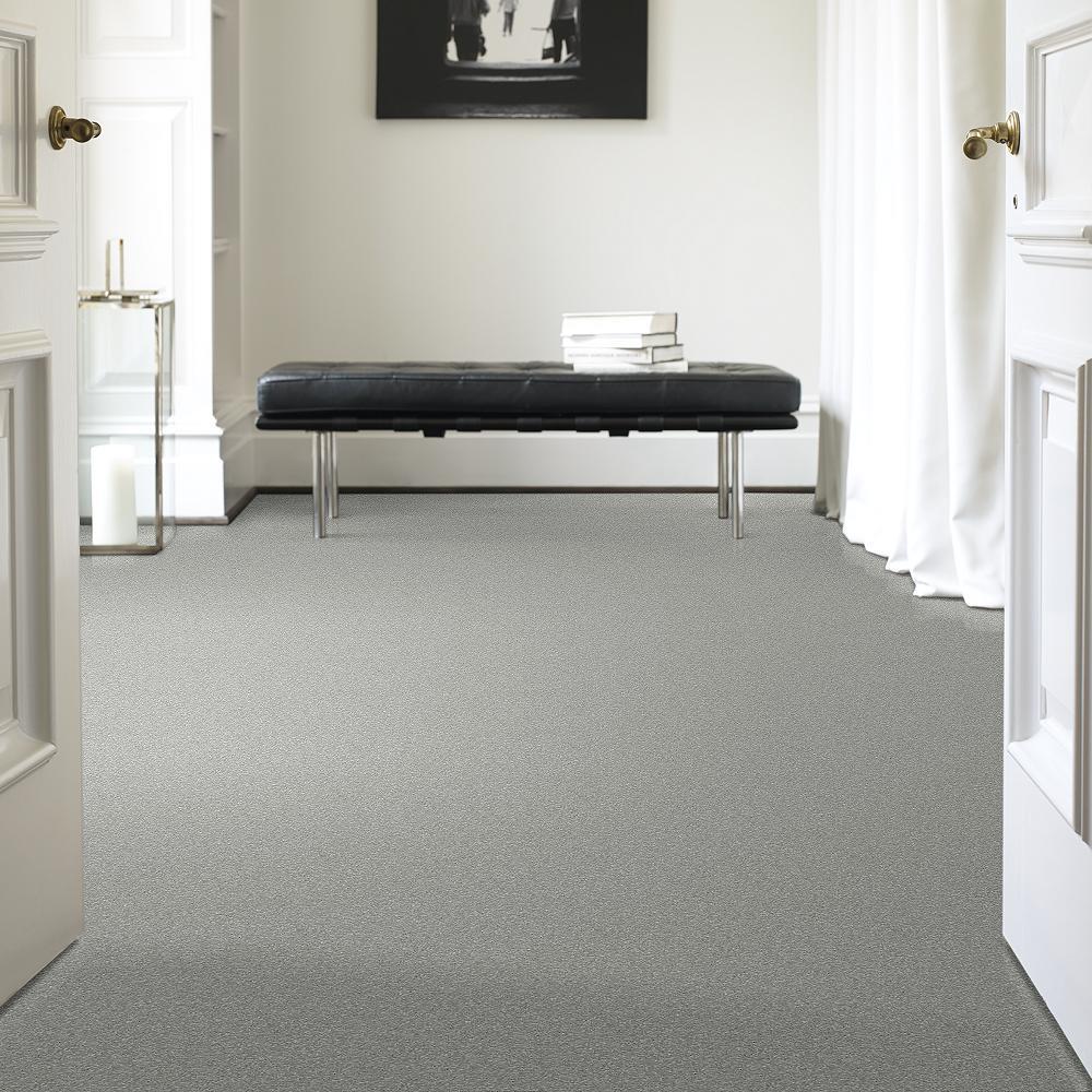 STAINMASTER PetProtect Baxter I Bobo Textured Indoor Carpet, 12-ft Roll Width