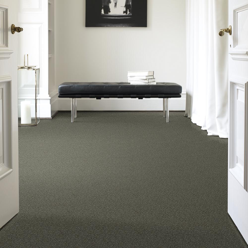 STAINMASTER PetProtect Baxter I Winston Textured Carpet (Indoor) - 12-ft Roll Width