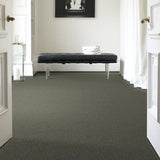 STAINMASTER PetProtect Baxter I Winston Textured Carpet (Indoor) - 12-ft Roll Width