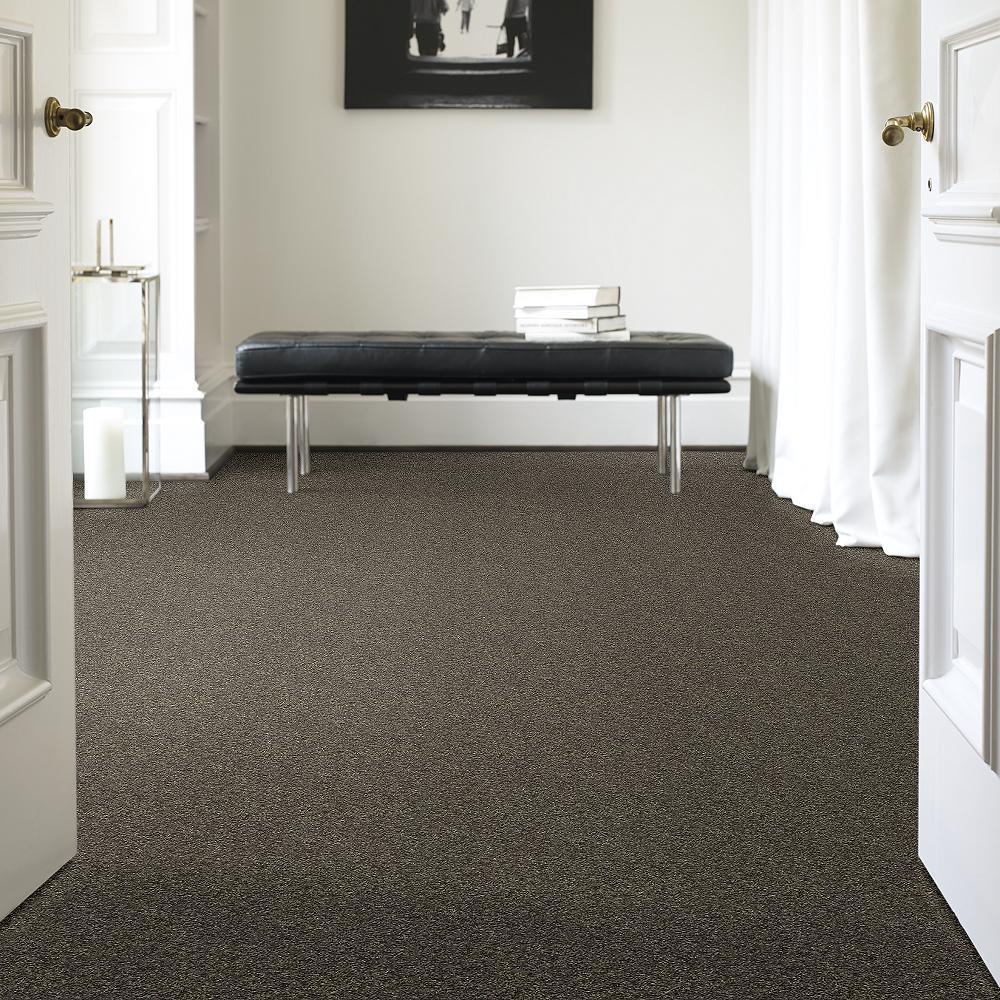 STAINMASTER PetProtect Baxter I Doberman Textured Carpet (Indoor) - 12-ft Roll Width
