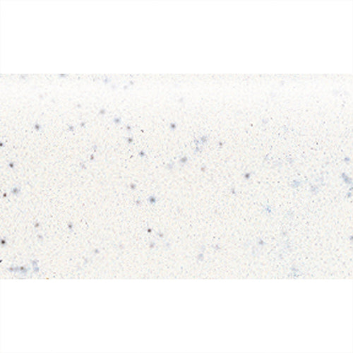 American Olean Bright White Ceramic Bullnose Tile (2-in x 6-in) - Super Arbor