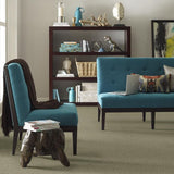 STAINMASTER PetProtect Baxter I Buddy Textured Carpet (Indoor)
