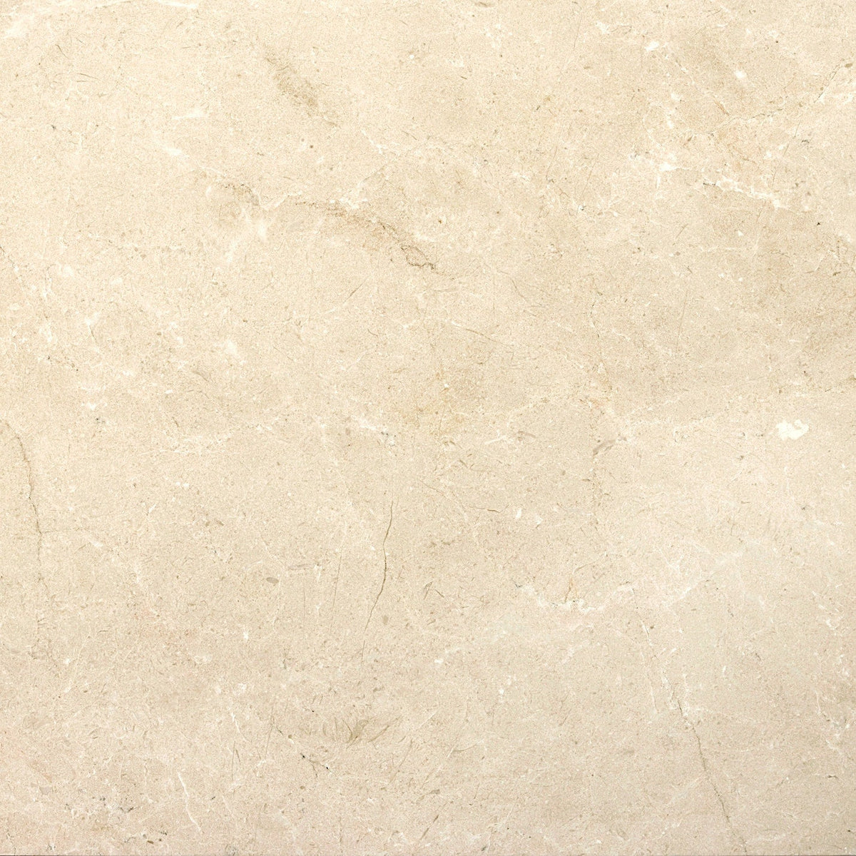 Emser MARBLE Crema Marfil Plus 24-in x 24-in Polished Natural Stone Marble Stone Look Tile