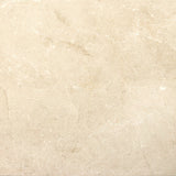 Emser MARBLE Crema Marfil Plus 24-in x 24-in Polished Natural Stone Marble Stone Look Tile