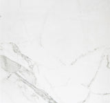 Emser Duomo Bianchi 6-in x 6-in Porcelain Tile Sample