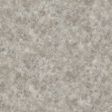 Congoleum ArmorCore Pro UR Ethereal 12-ft W Cut-to-Length Stormy Gray Stone Look Low-Gloss Finish Sheet Vinyl