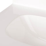 Project Source 24.5-in White Shaker Single Sink Bathroom Vanity with White Cultured Marble Top