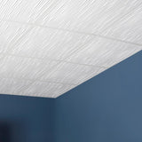 Genesis 2-ft x 2-ft Drifts White PVC Drop Ceiling Tile (1-Pack, 4-sq ft / Case)