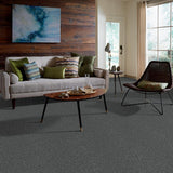 STAINMASTER PetProtect Baxter II Roll Over Textured Carpet (Indoor)