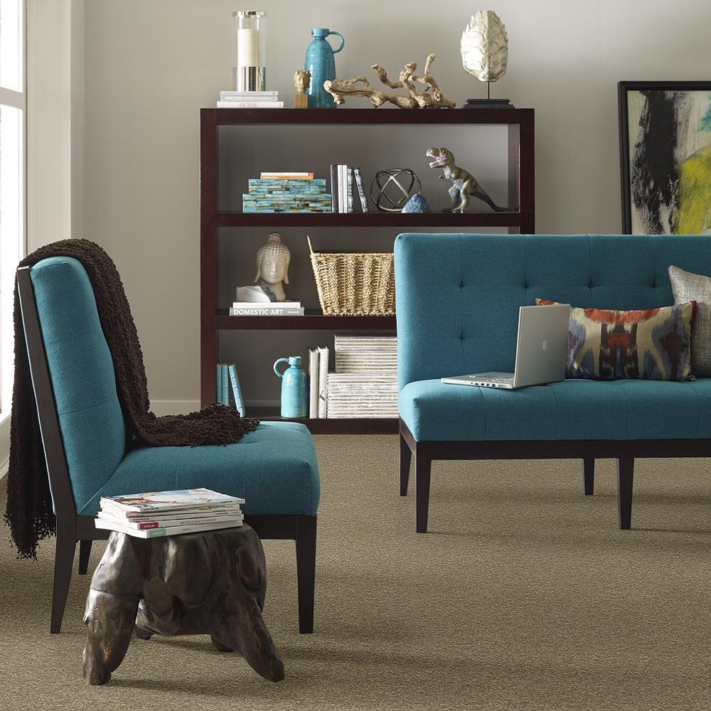 STAINMASTER PetProtect Baxter IV Dachshund Textured Carpet (Indoor, 12-ft Roll Width)